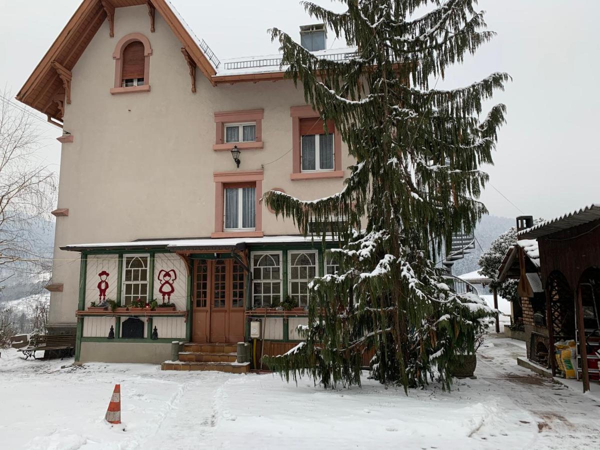 Homestay Gentiane 2 A 3 Personnes Wifi Sdb Partagee Saint-Amarin