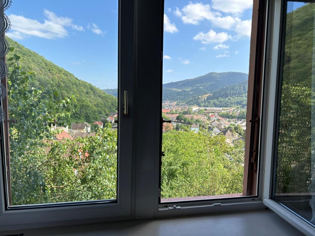 Gentiane 2 A 3 Personnes Wifi Sdb Partagee * Saint-Amarin